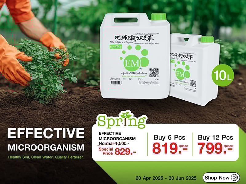 EFFECTIVE MICROORGANISM SPRING 10L